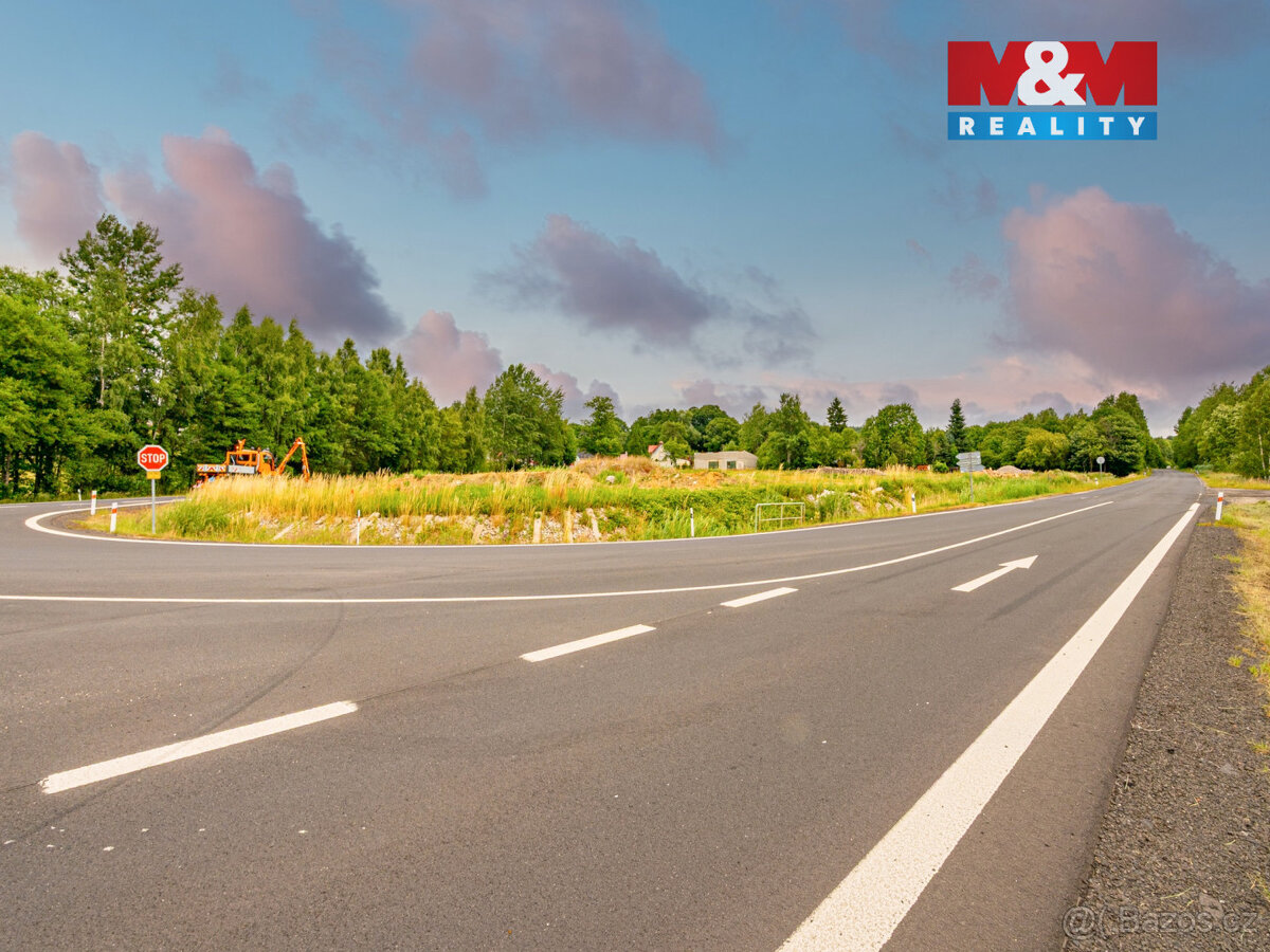 Prodej komerčního pozemku, 10168 m², Dolní Nivy - 6