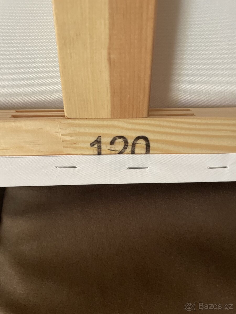 Obraz na plátně 100 $ - 6