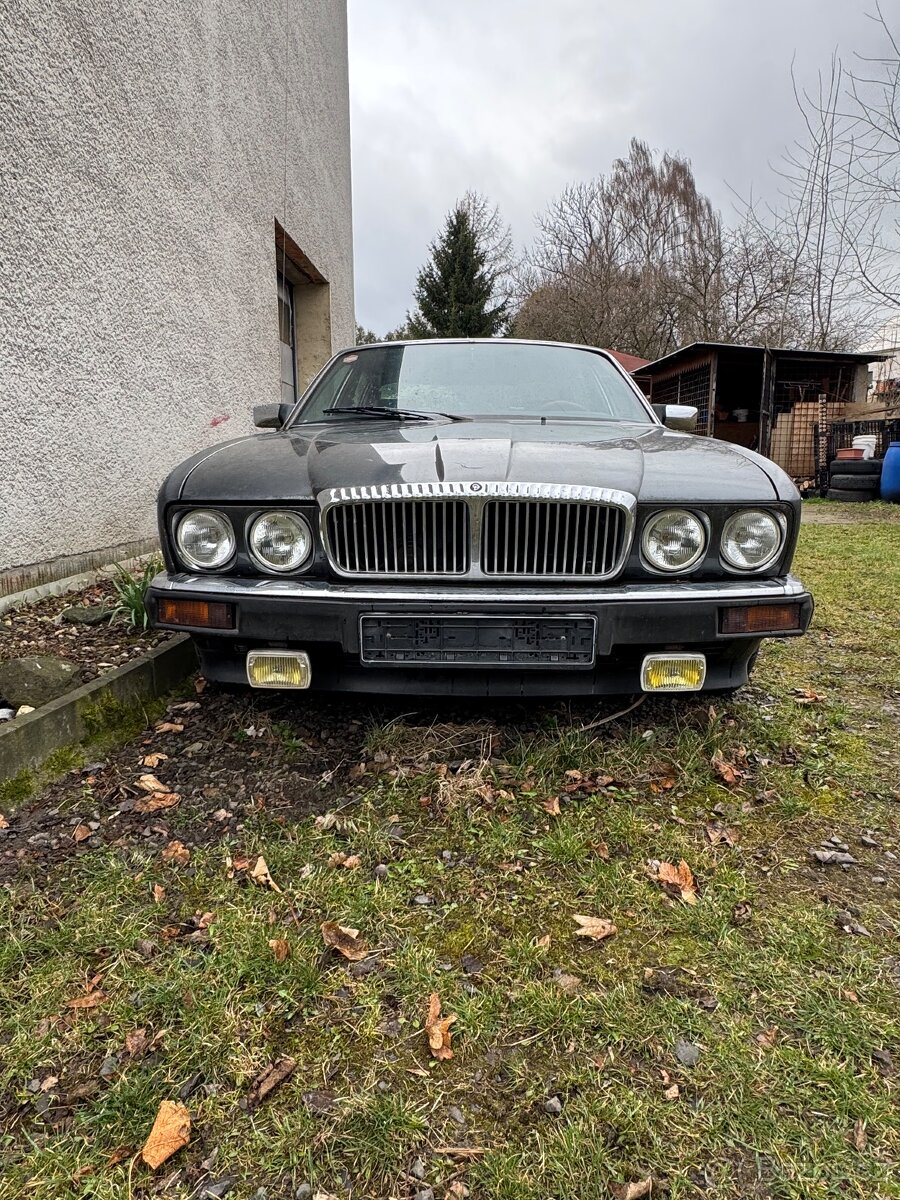Jaguar XJ 40 - 6