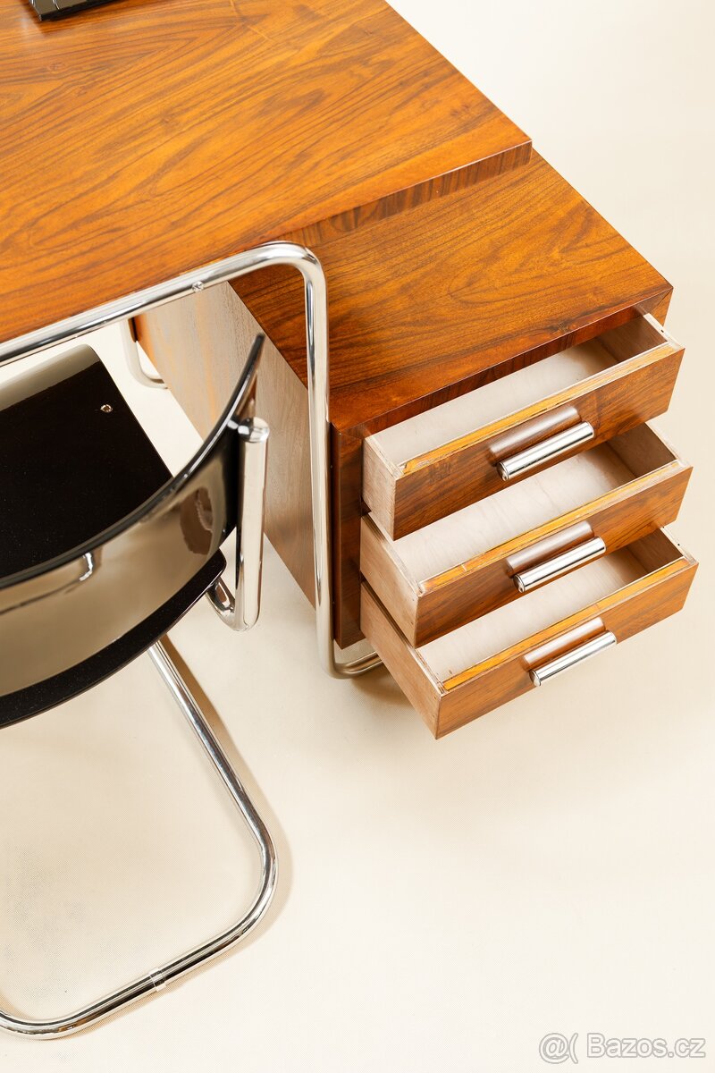 PSACÍ STŮL-FUNKCIONALISMUS - 6