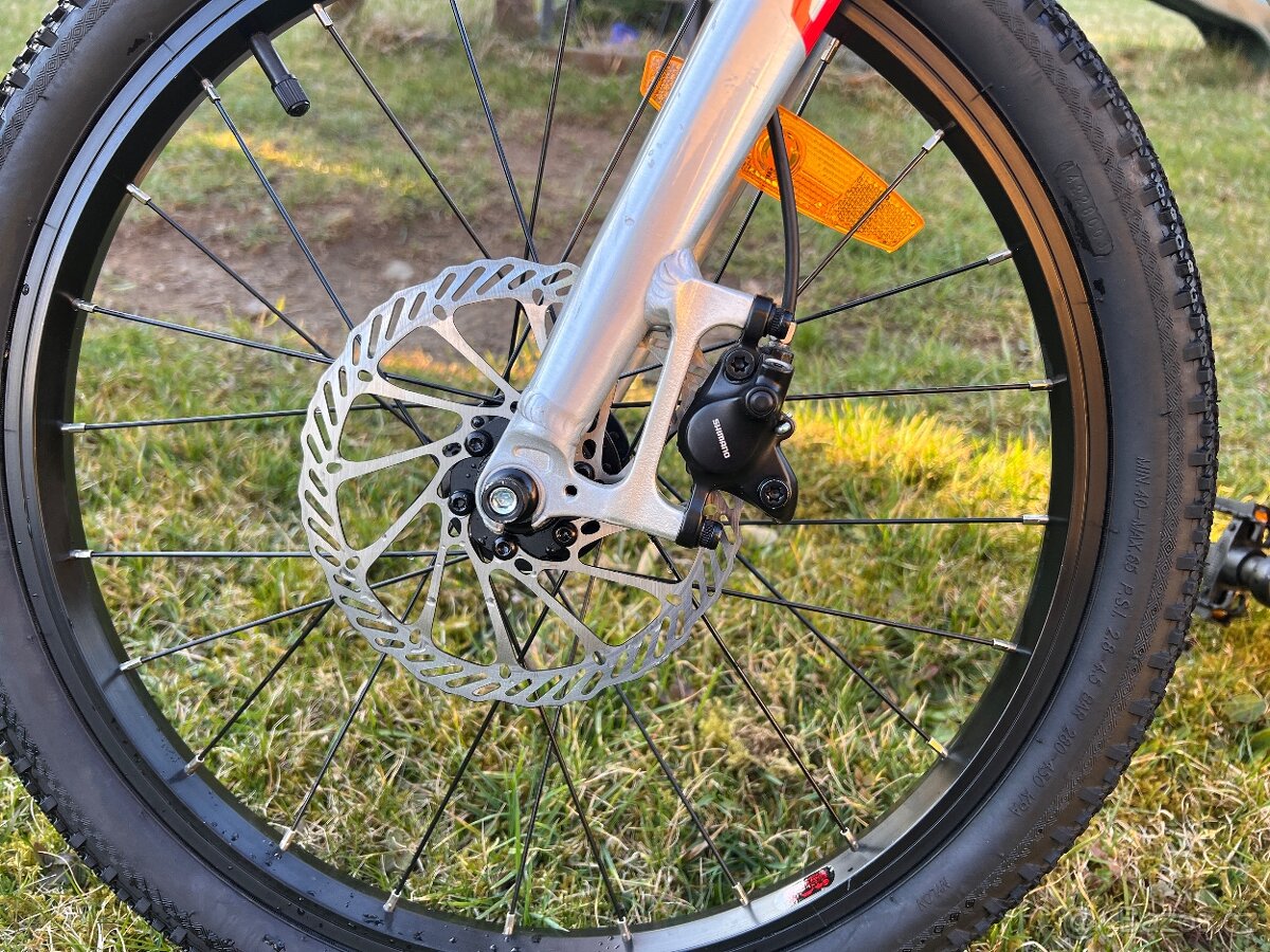 Amulet youngster - 6