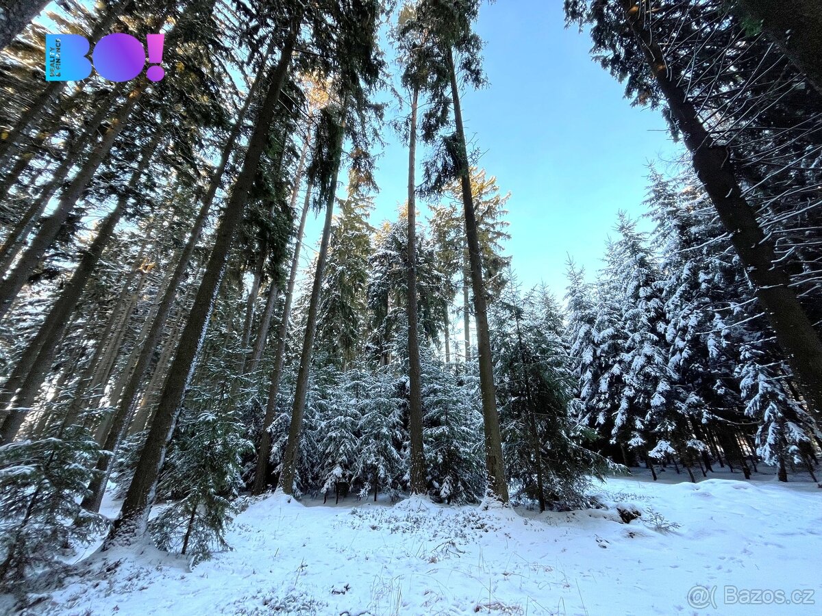 Prodej lesa, 43 856 m², Stržanov - 6