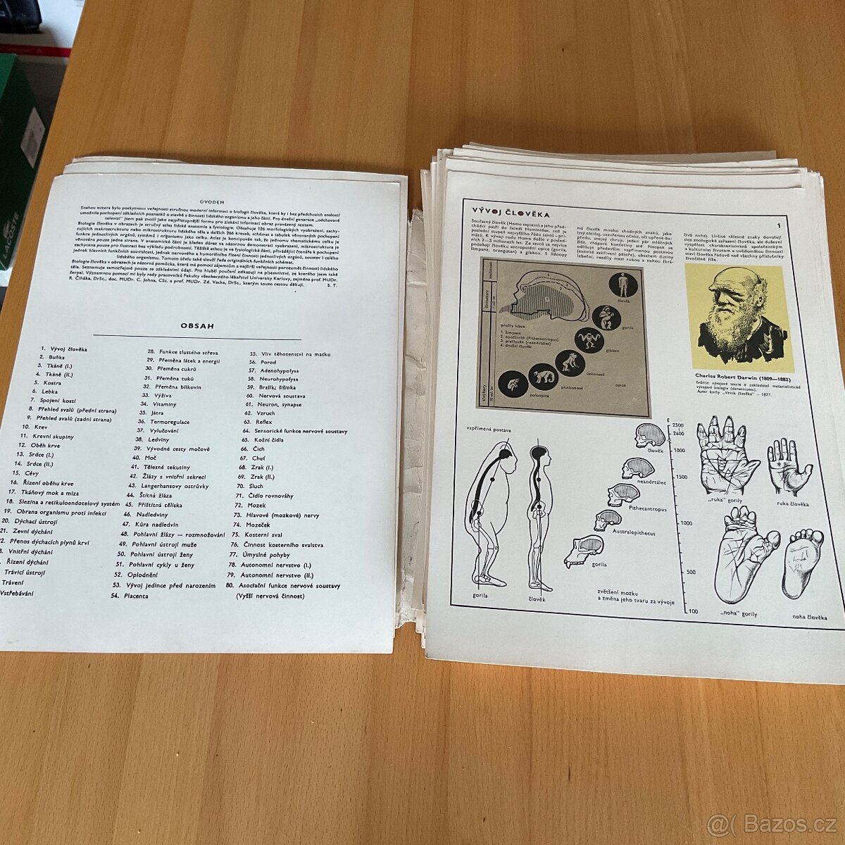 Retro- Biologie člověka v obrazech- A4 - 6