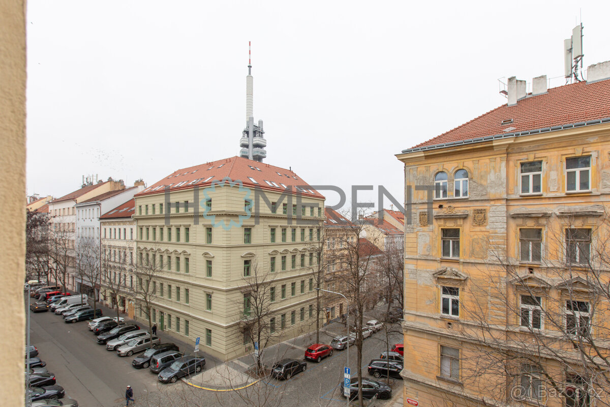 Prodej - krásný a světlý byt 2+kk (45 m²) po rekonstrukci, P - 6