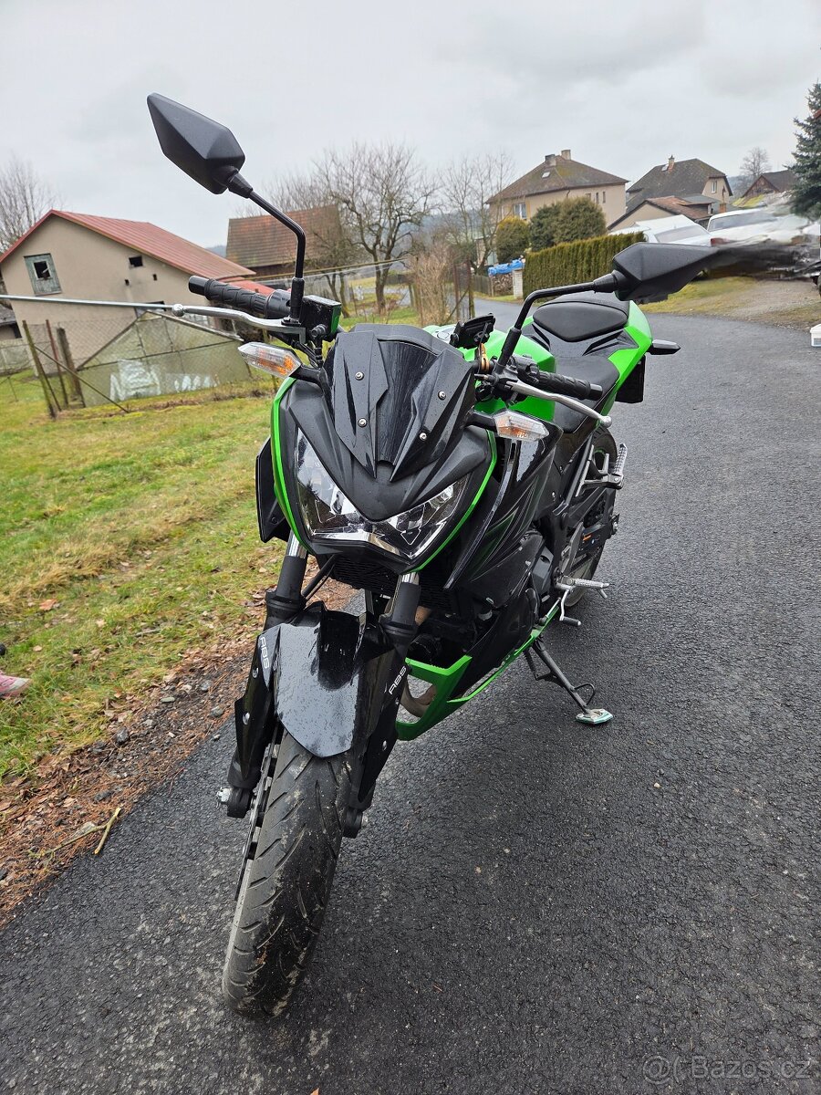 Kawasaki Z300 - 6