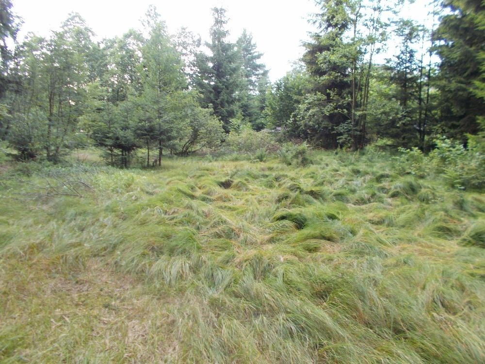 Prodej louky 3266 m² - 6