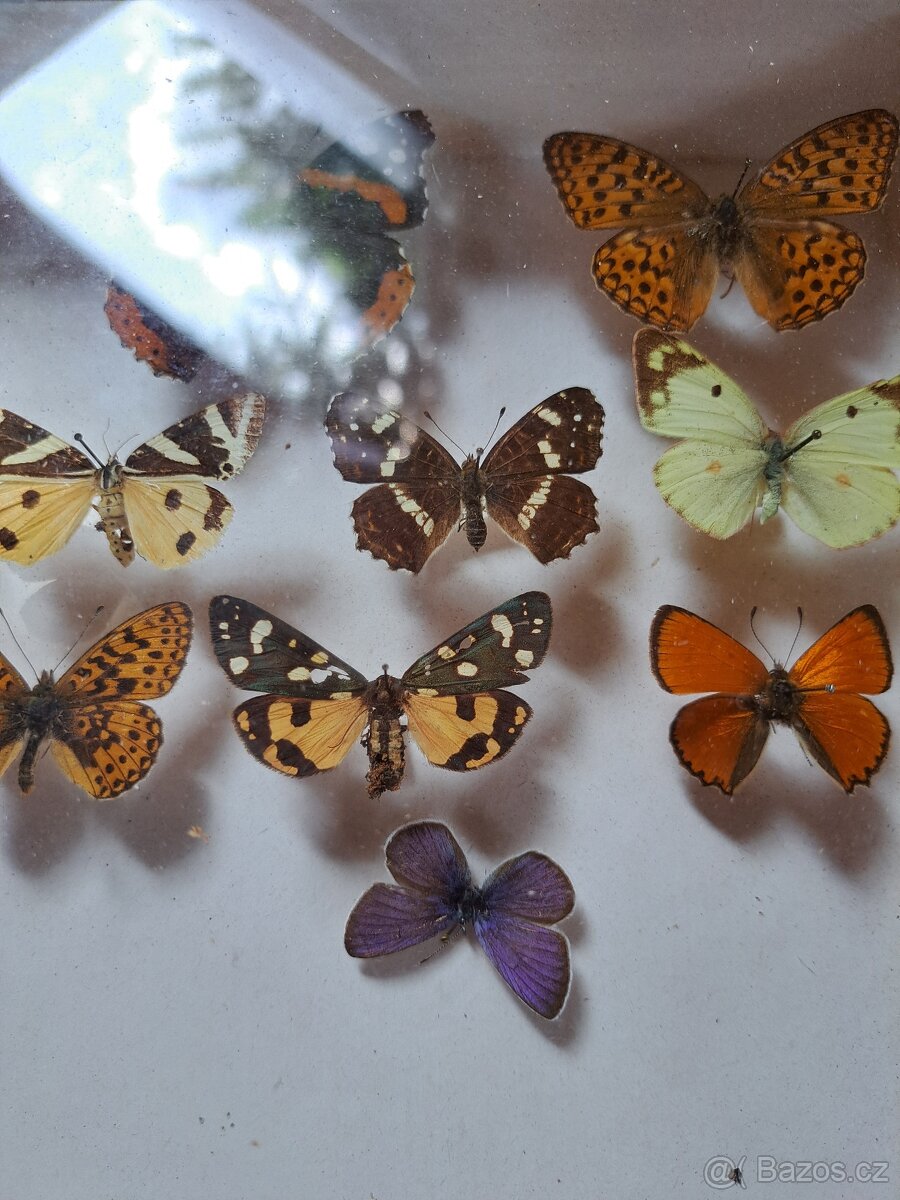 Zbierka M O T Ý Ľ O V. - 6