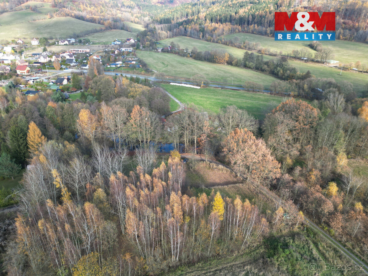 Prodej pole, 5000 m², Šumperk - 6