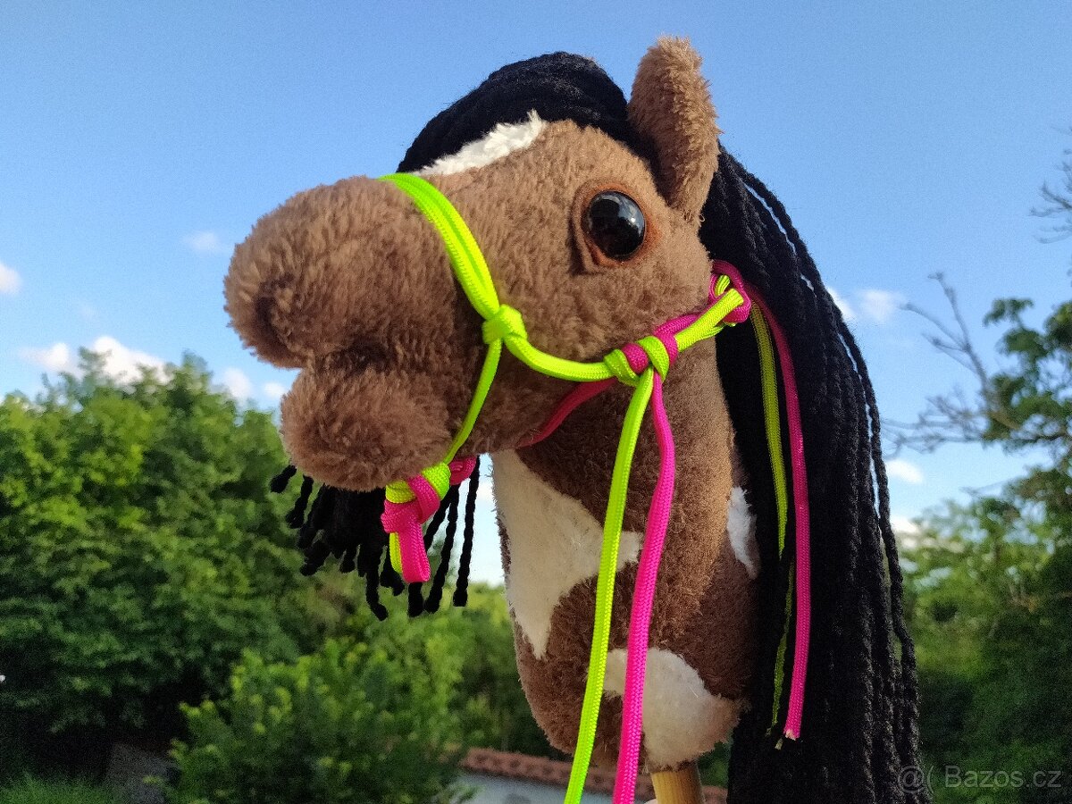 Hobby horse - 6