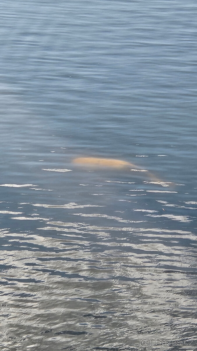 Chata na Pastvinách – rezervace pobytů od jara 2026 - 6