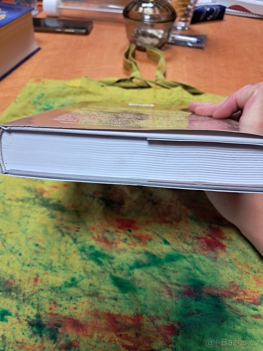 Kniha Čtyři z tanku a pes - 6