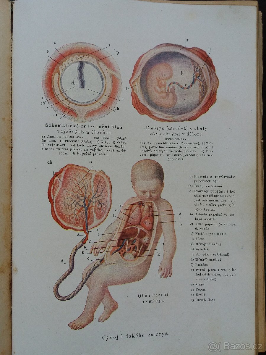 Kniha : Domácí lékařka. - 6