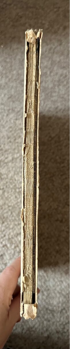 Česká fotografie 1939 - 6