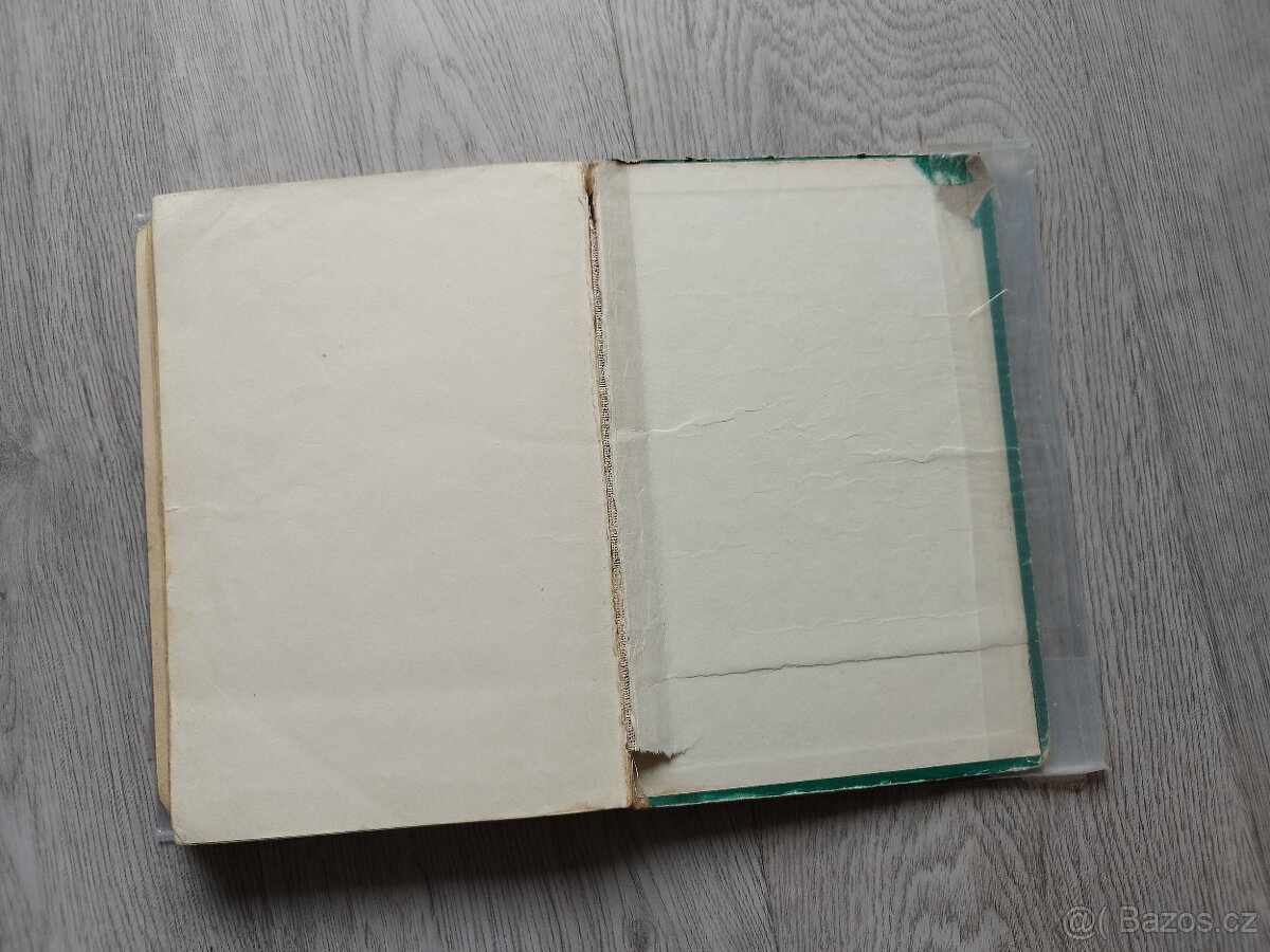 Dvacet tisíc mil pod mořem - 6