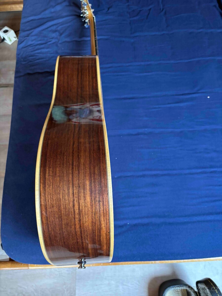 Kytara Pavlů celo masiv Cedr - 6