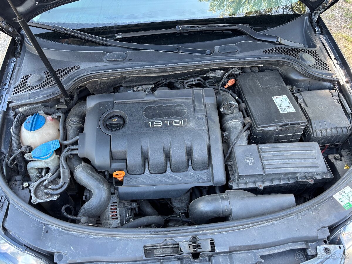 Audi A3 8p 1.9TDI - 6