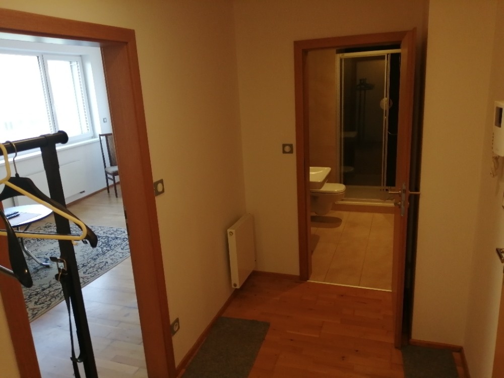 Pronájem 1+kk, ul. Palackého tř., Královo Pole, 39 m2, garáž - 6