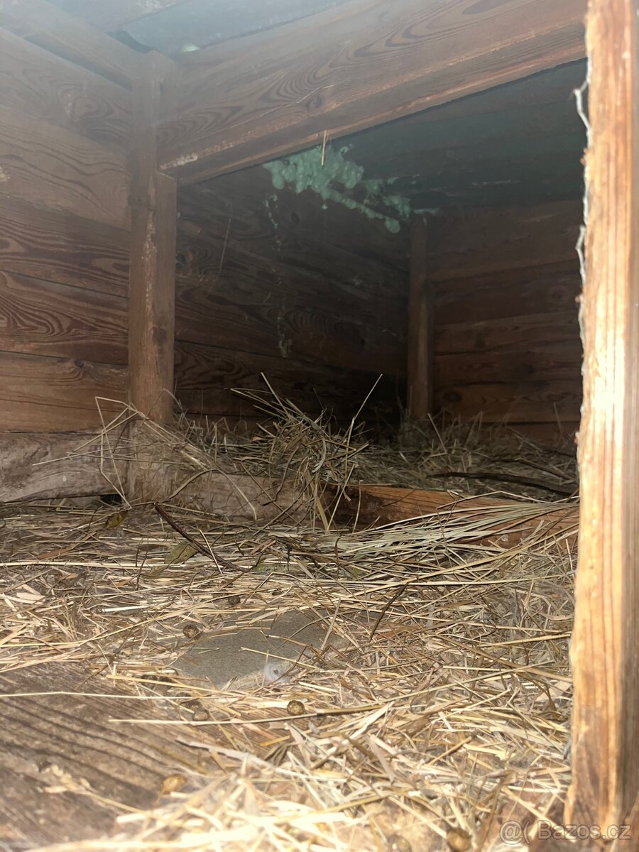 dvoukotcová králikárna - 6