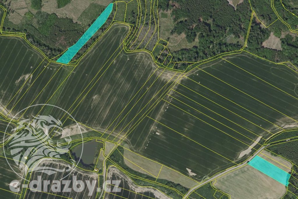 Dražba 7 pozemků (7639 m2 orná půda a 13784 m2 les) v obci C - 6