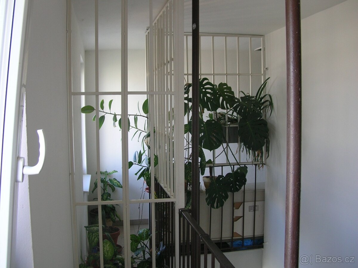 Masivní mříž mříže vrata dveře - 6