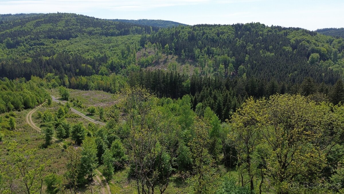 Rodinný dům 5+1, pozemek 4 779 m² – Jindřichova Hora - 6