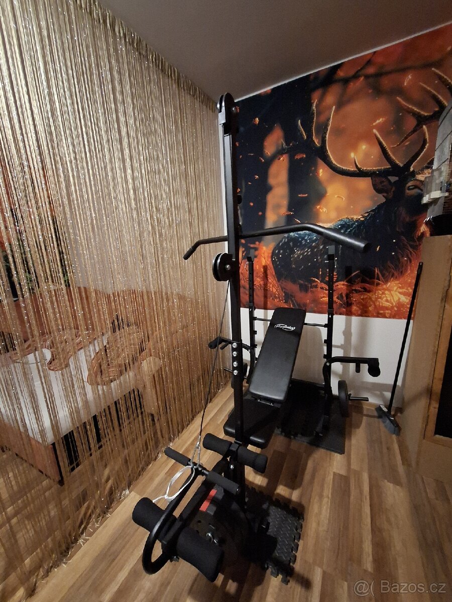 Posilovací věž + kotouče - 6