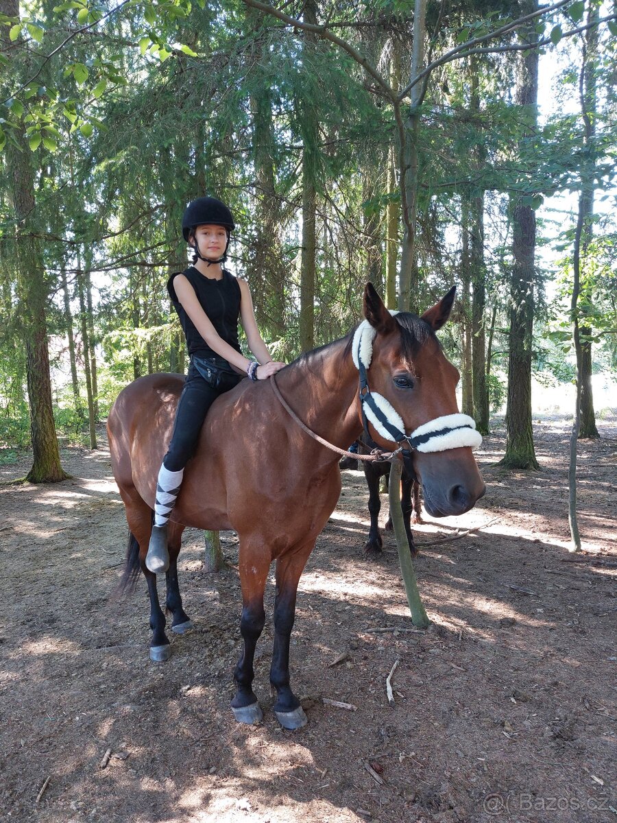 Tábor pro opravdové koňáky - 6