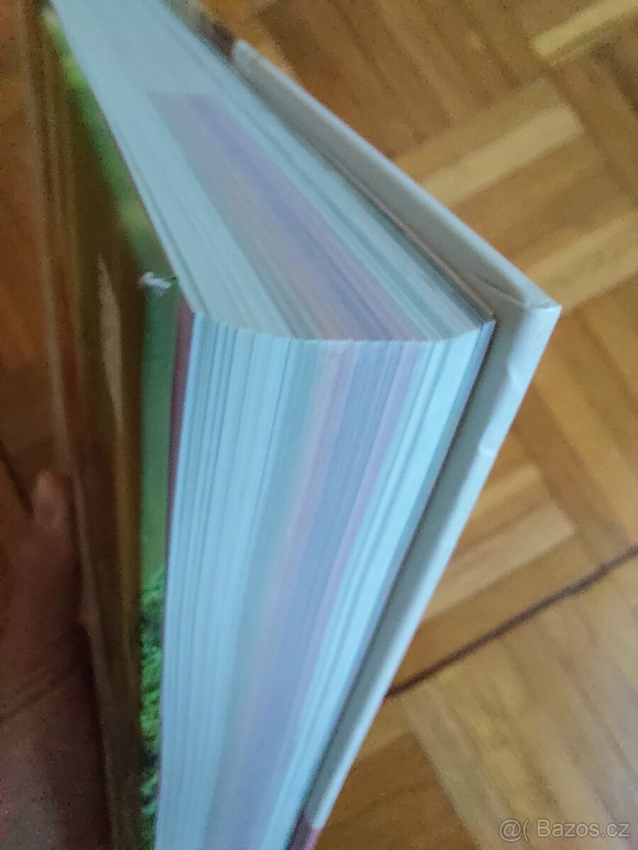 kniha BioAbecedář Hanky Zemanové - 6