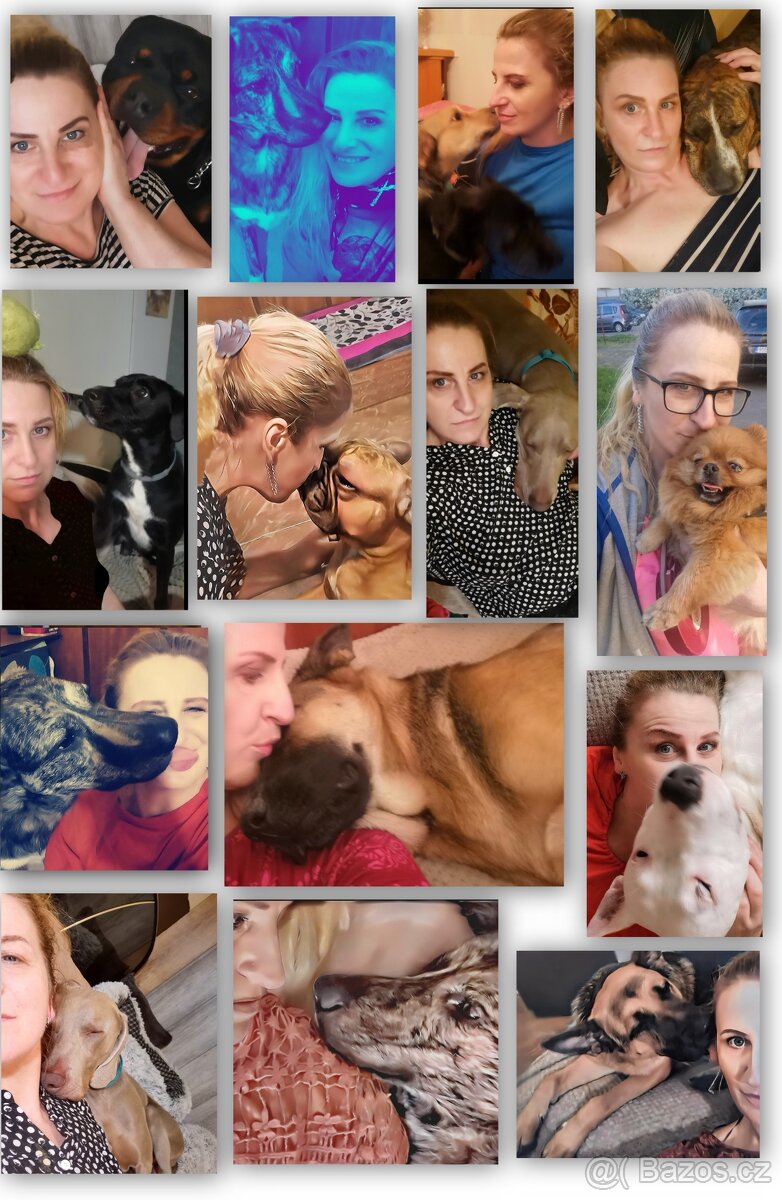 Pohlidám vašeho pejska. Plzeň - 6