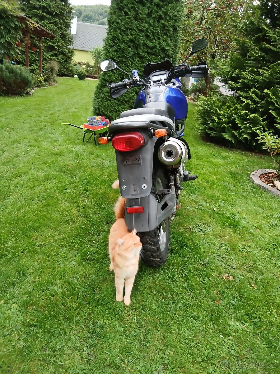 Suzuki XF 650 Freewind 35 kW - 6