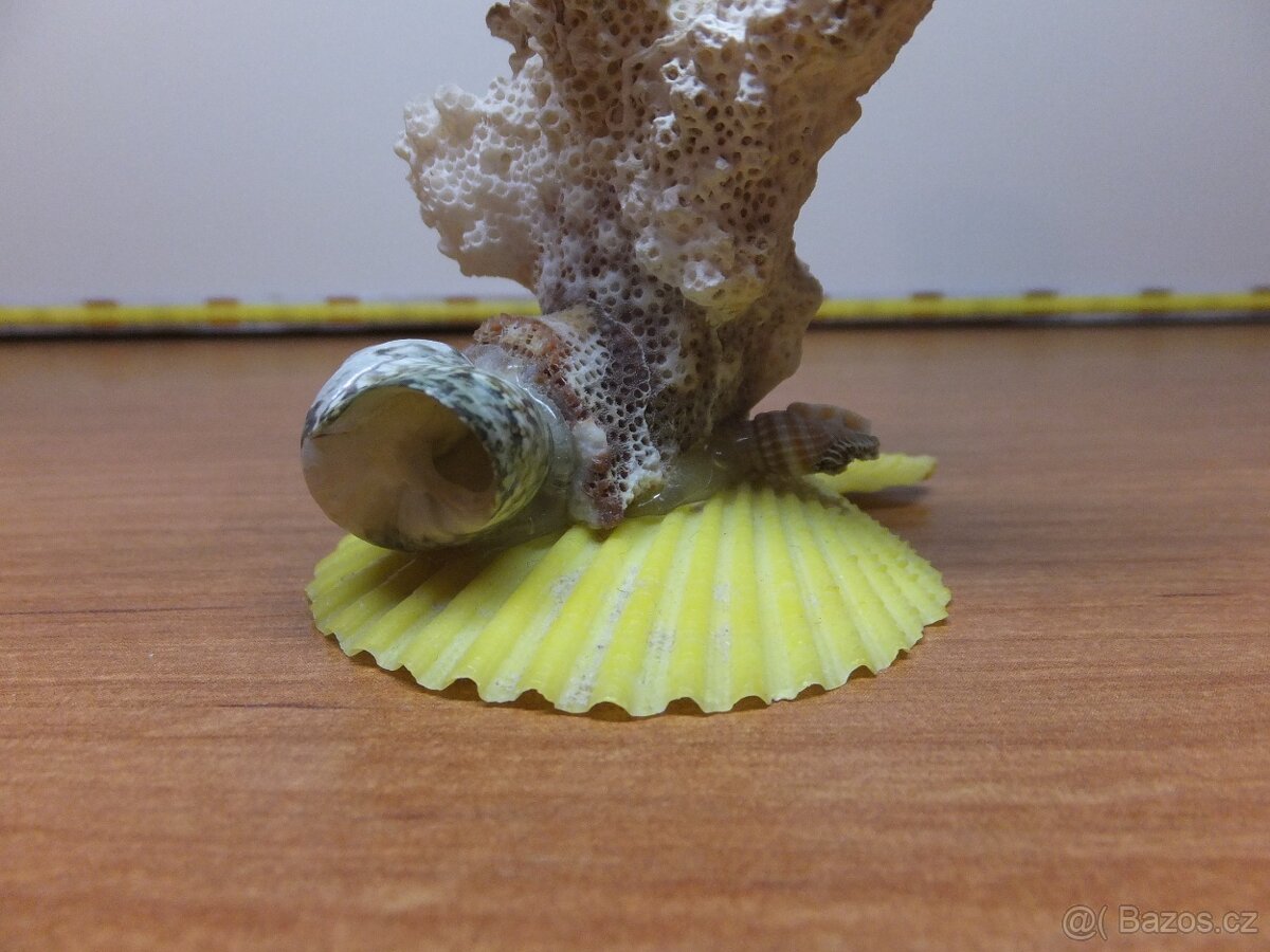 Retro dekorace s pravého mořského korálu a mušlí. - 6