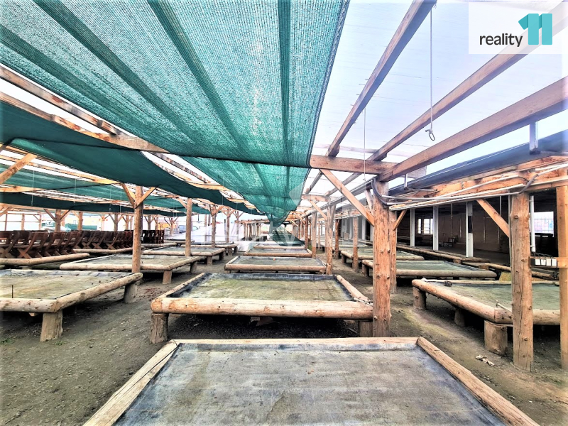 Pronájem, pozemek 1200 m2, tržnice Libenice - 6