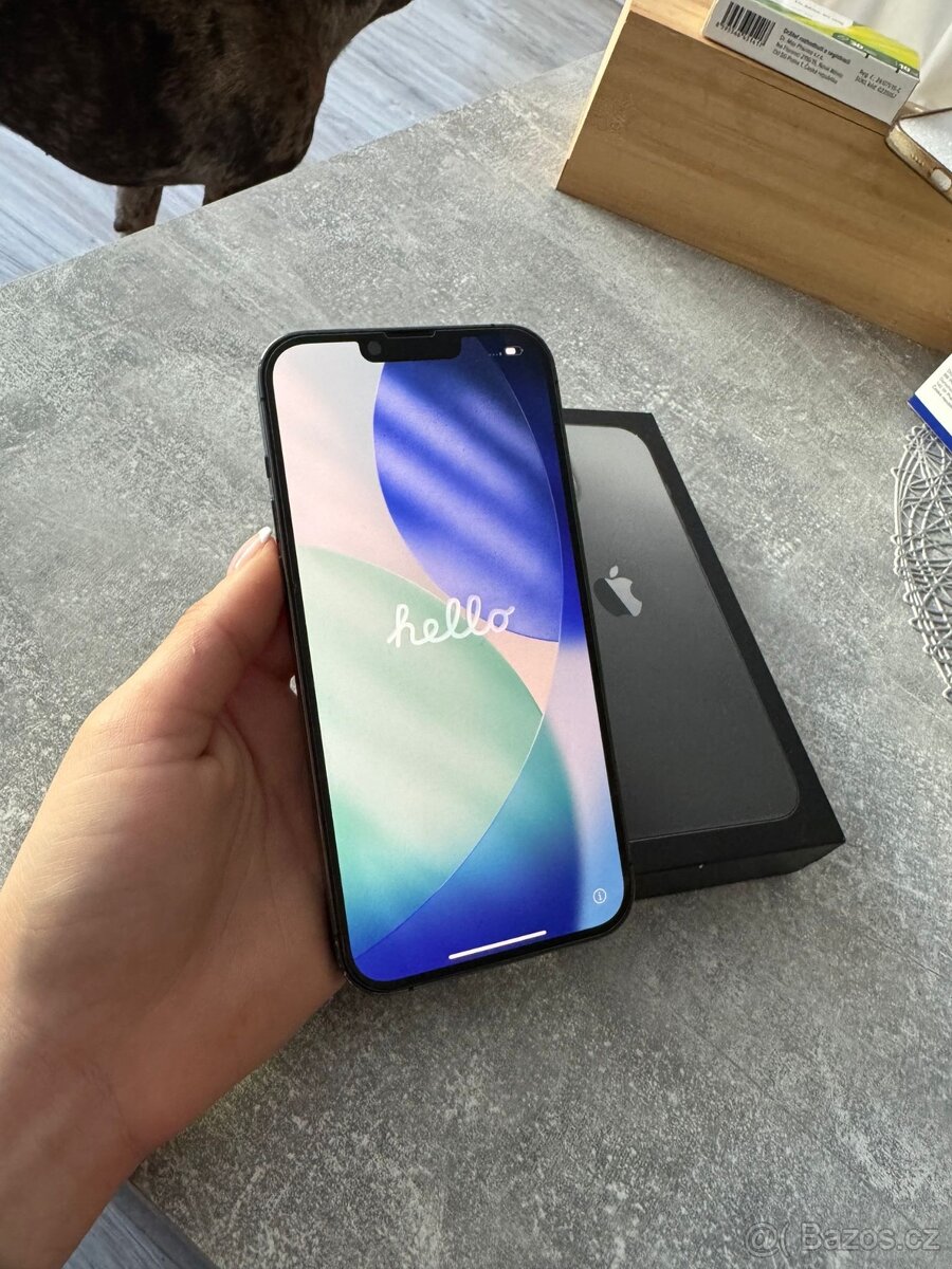 iPhone 13 Pro Max 256Gb - 6