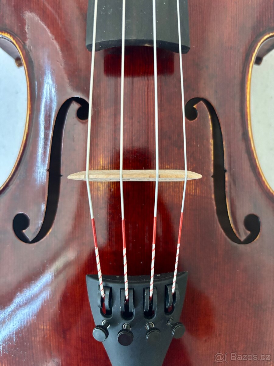Viola - 6