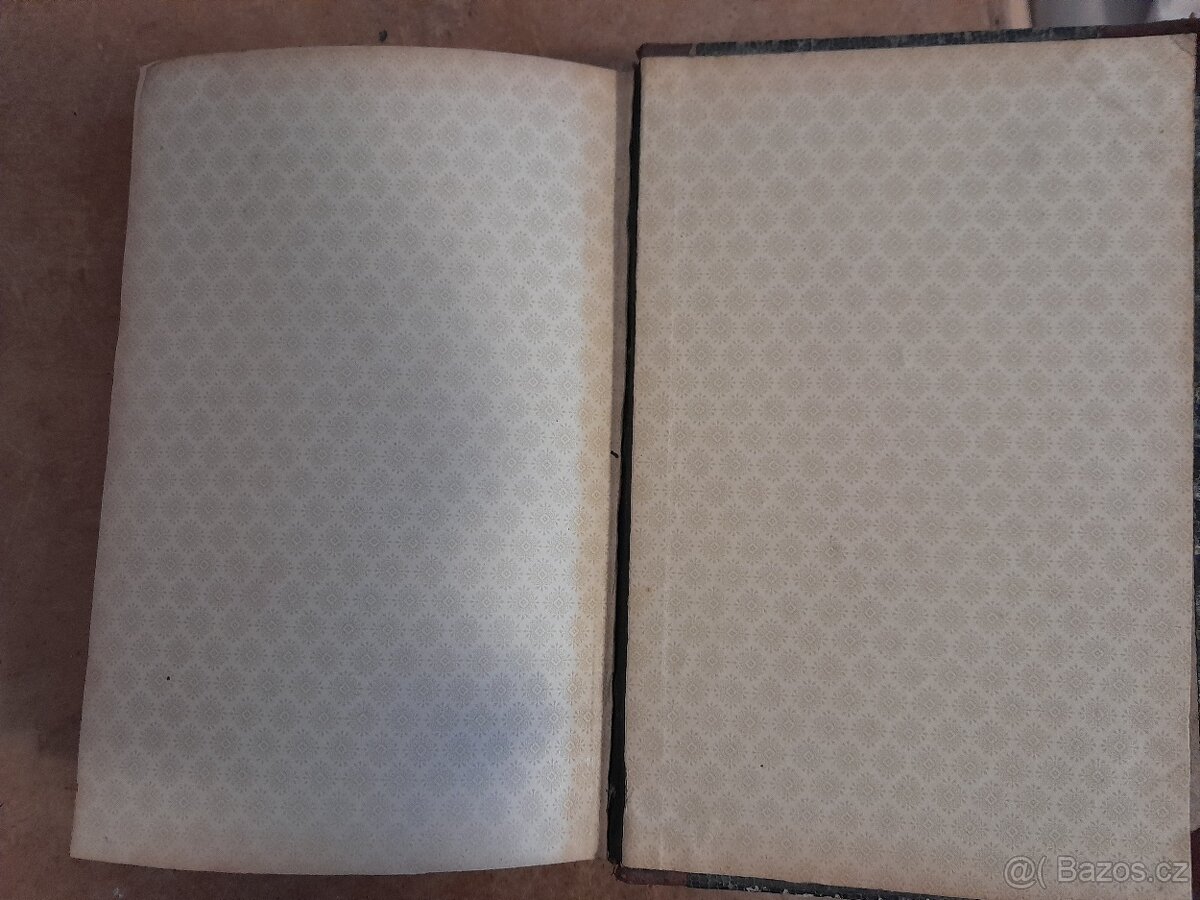 Kniha starožitná DIAGNOSTIKA CHOROB DUŠEVNÍCH 1904 - 6