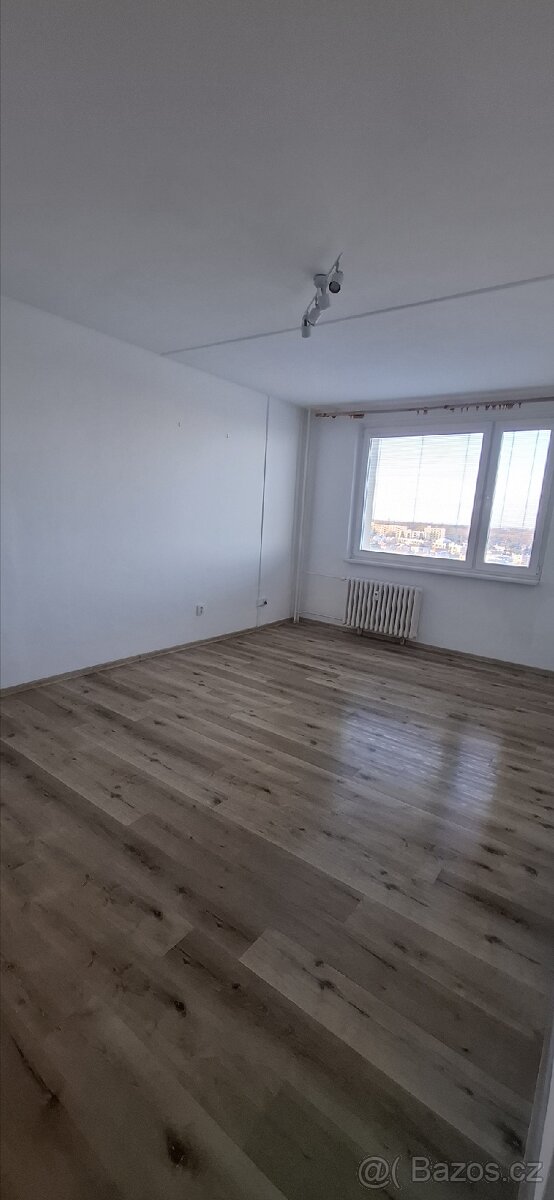 Dlouhodobý pronájem bytu 1+1 - 6