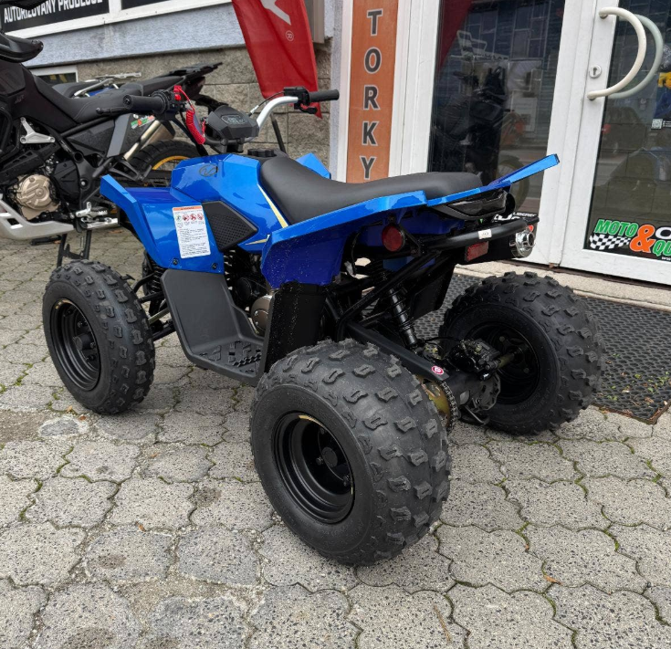 Linhai Dětská čtyřkolka ATV 110 Junior - 6