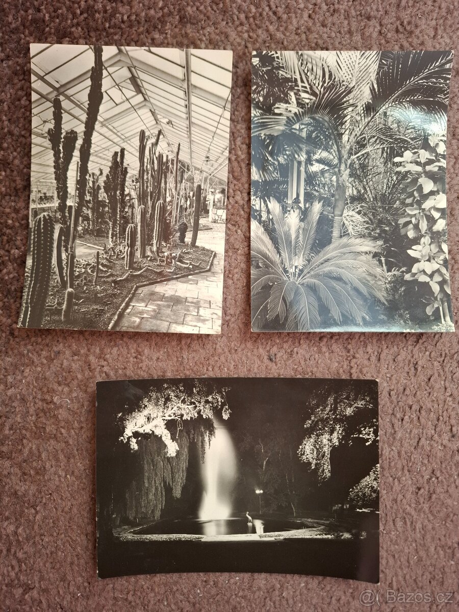 Staré pohlednice č.b. - 6