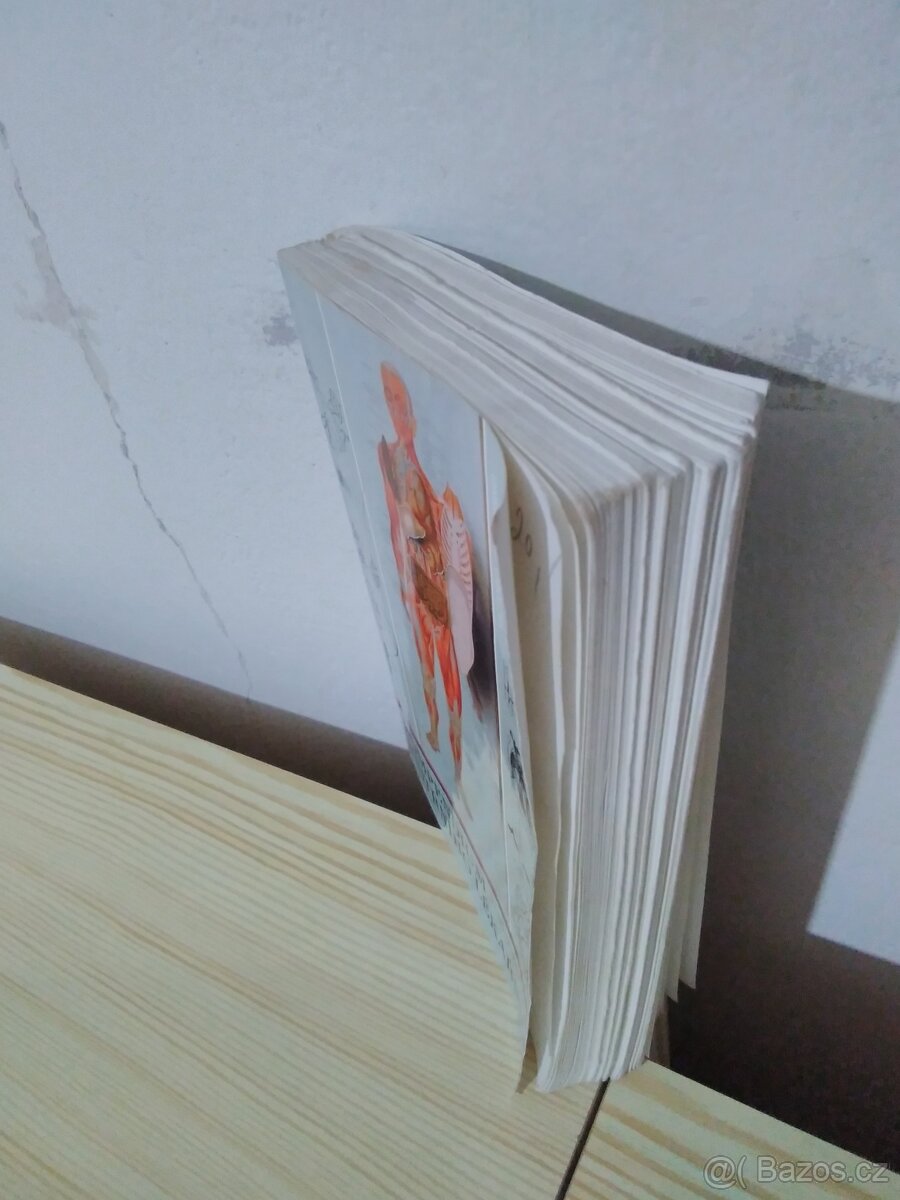 Kompendium vnitřního lékařství - 6