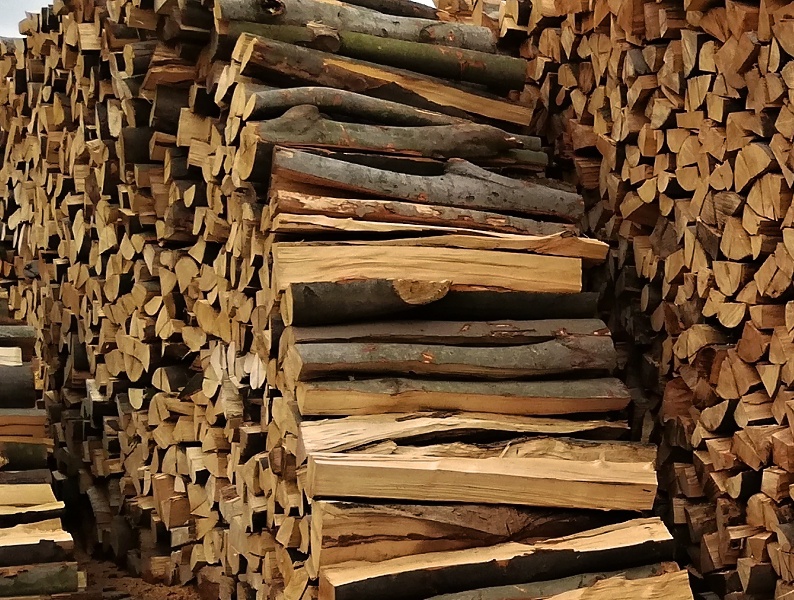 práce brigáda dřevo - 6