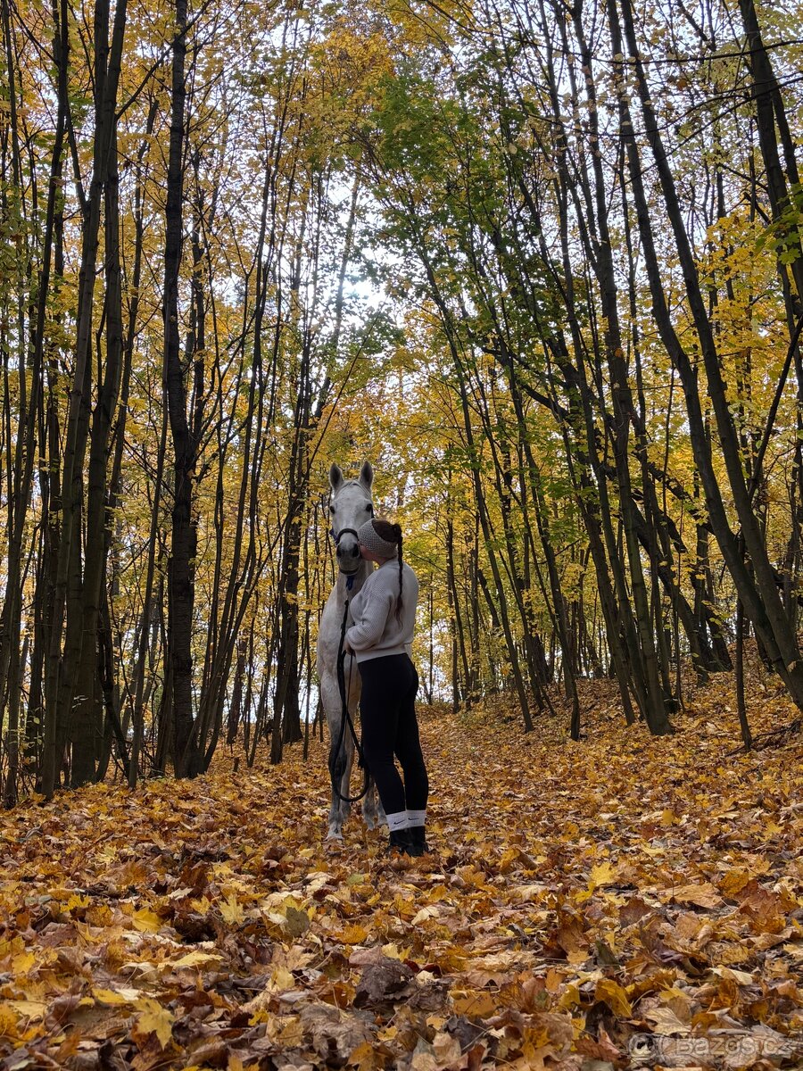 Poloviční pronájem - 6