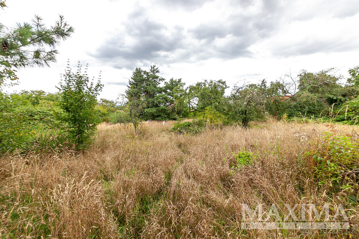 Pozemek o ploše 3823 m2 - Dolní Beřkovice, Podvlčí - 6