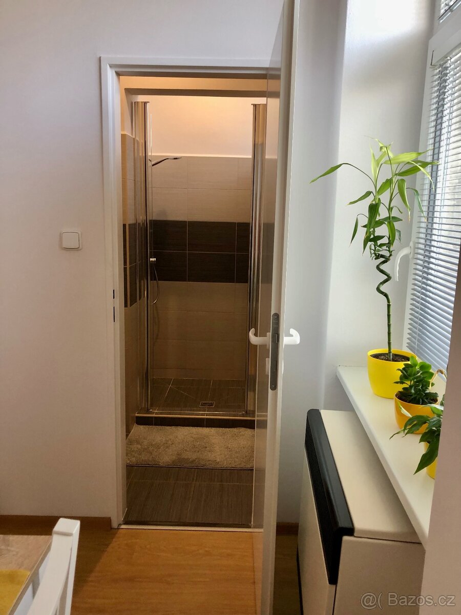 Pronájem bytu 1+1 - 6