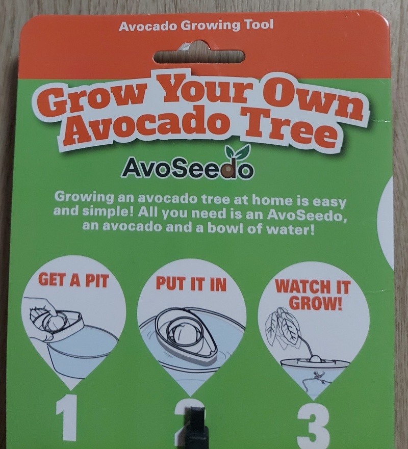 AvoSeedo Vypěstujte si avokádový strom - 6