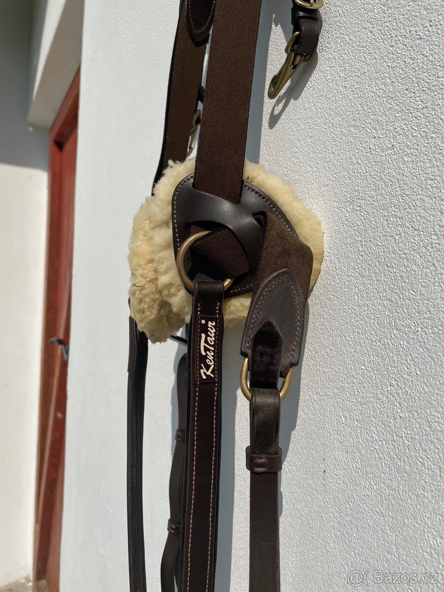 Pětibodový poprsák Kentaur Palermo - 6