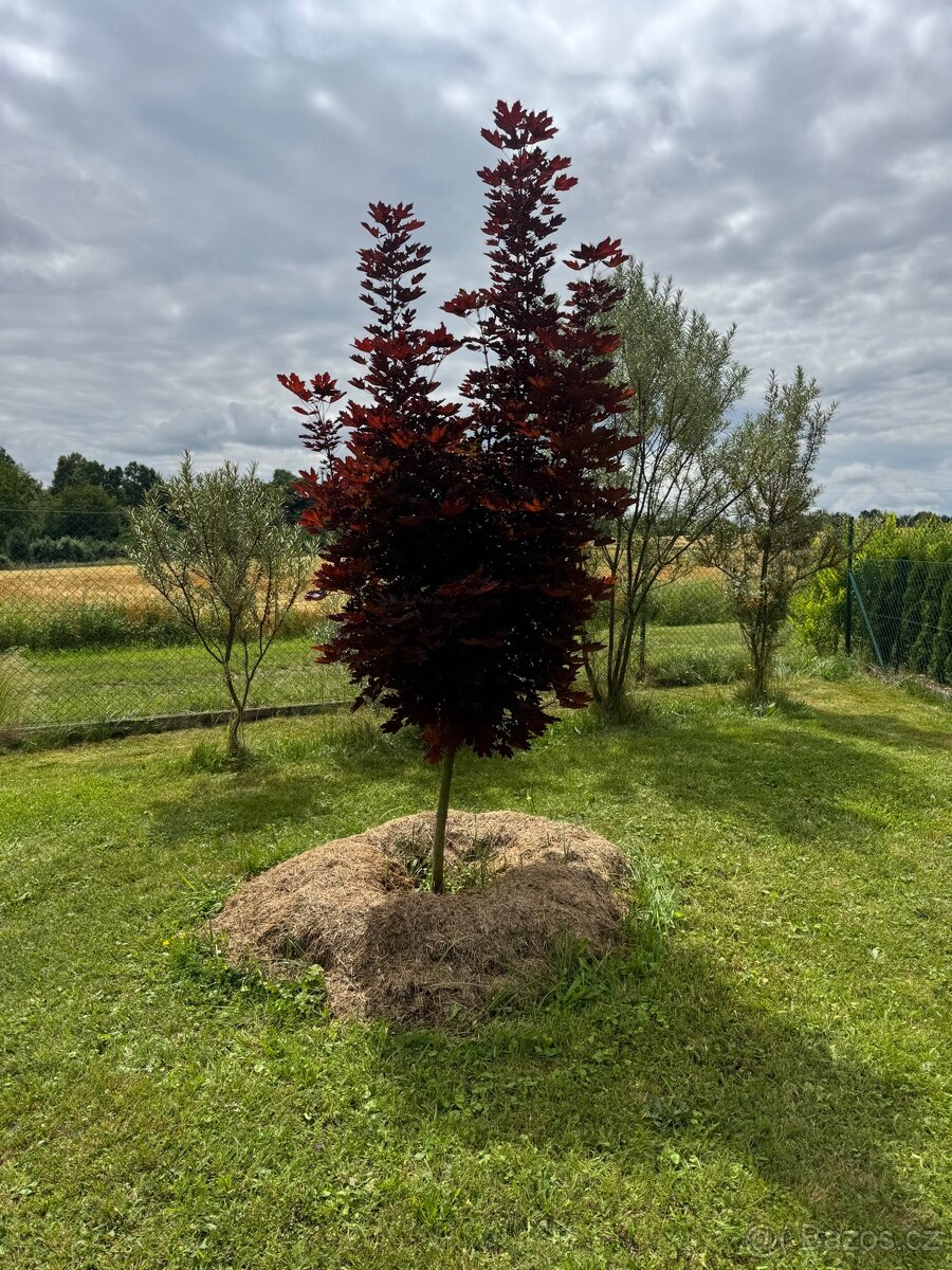 Prodám stavební pozemek - 6