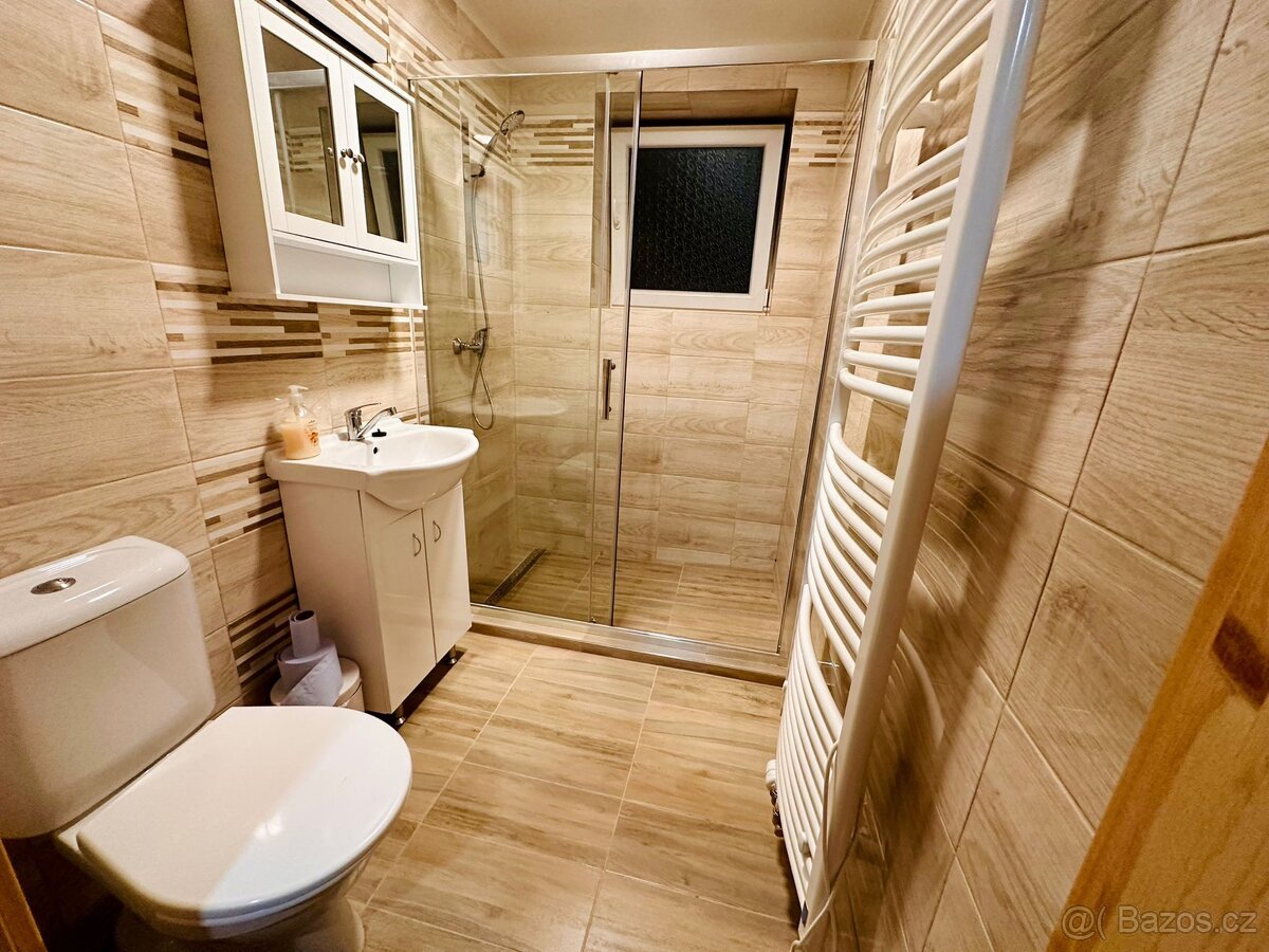 Pronájem - Apartmán Voděrady - 6