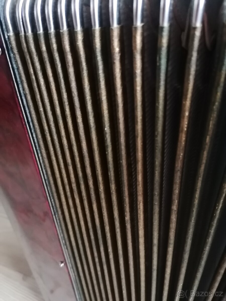 Akordeon Aida 120 basů - 6