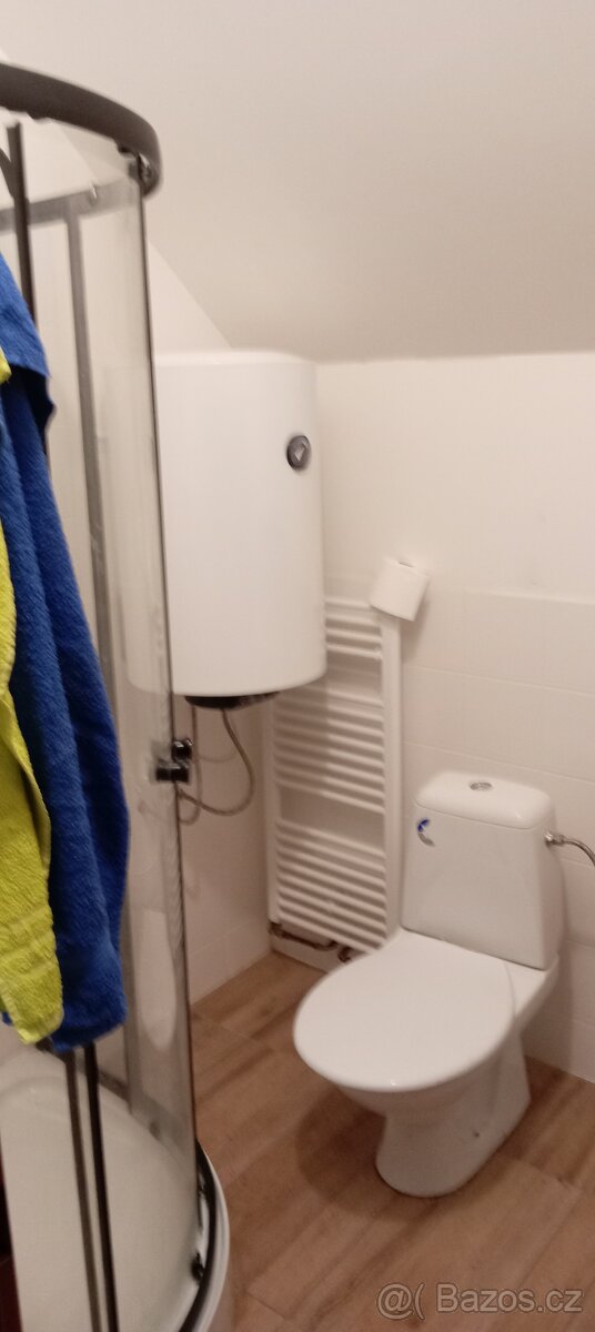 Přenechám pronájem bytu podkroví Pozorka - 6
