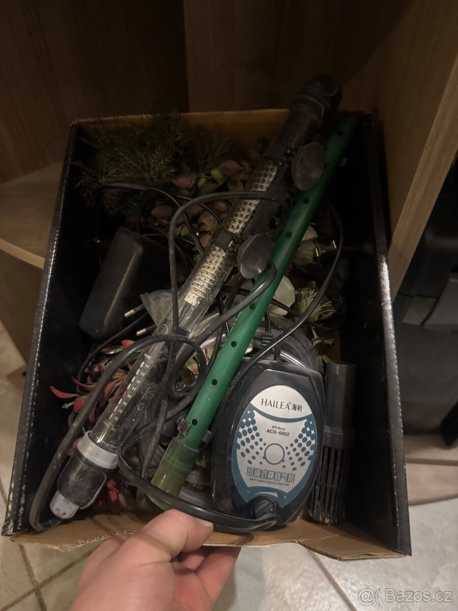 Rohové akváriu - 6